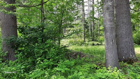 LAND - Speculator, NY