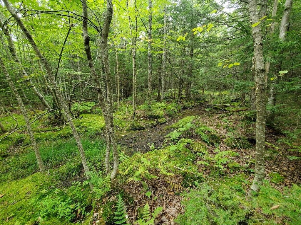 Picture 29