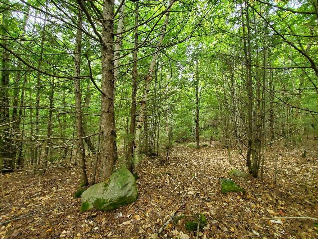 Picture 23