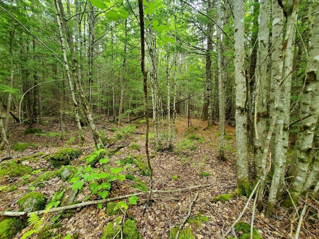 Picture 38