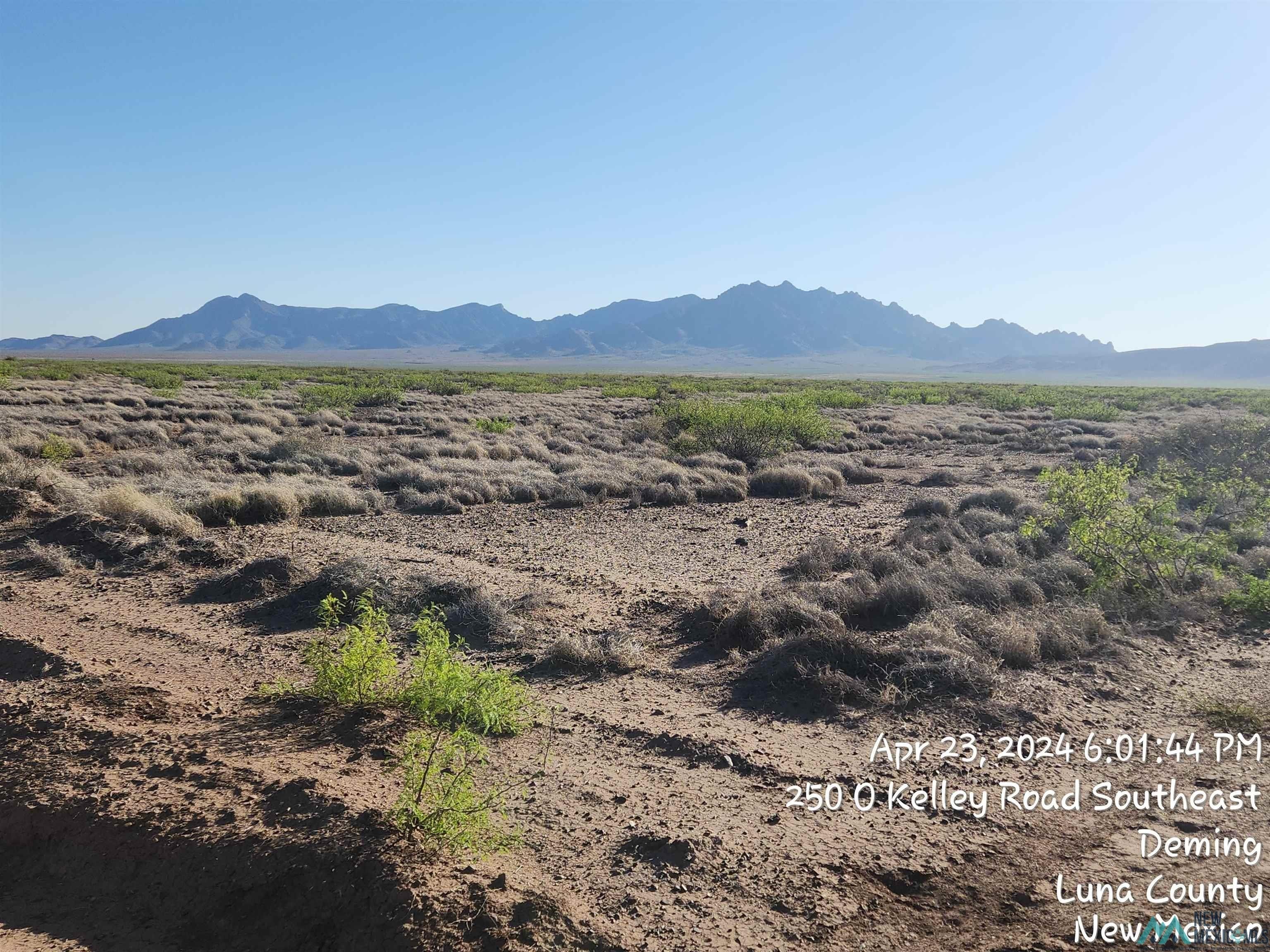 Land Parcel in Luna County