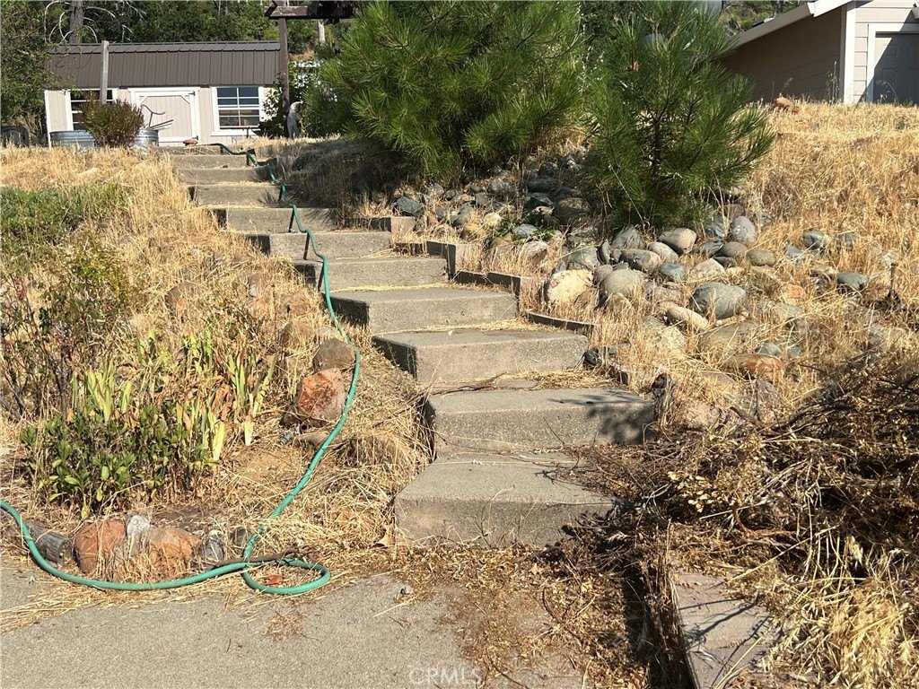Picture 9