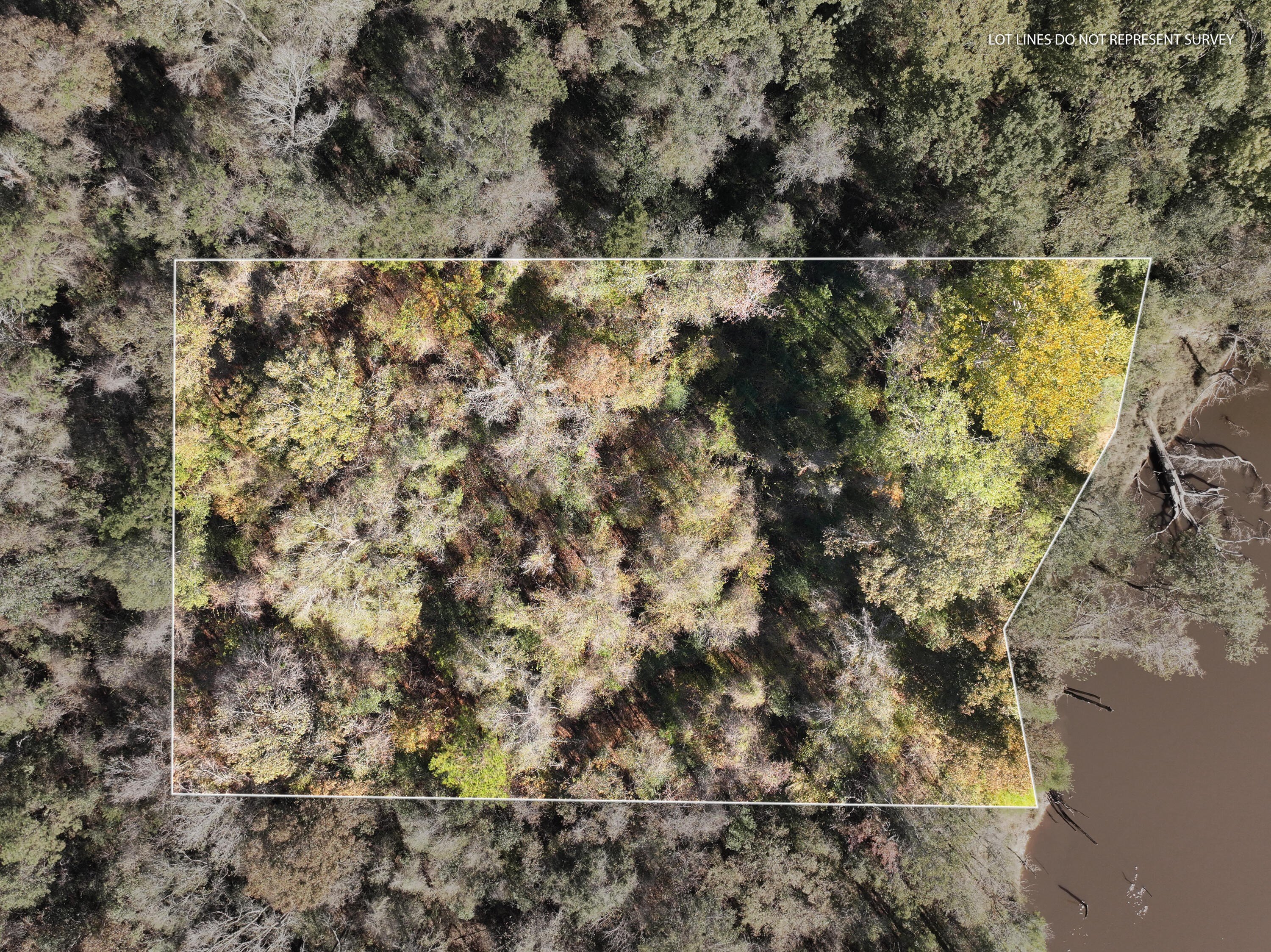 Leaf River Waterfront Acreage