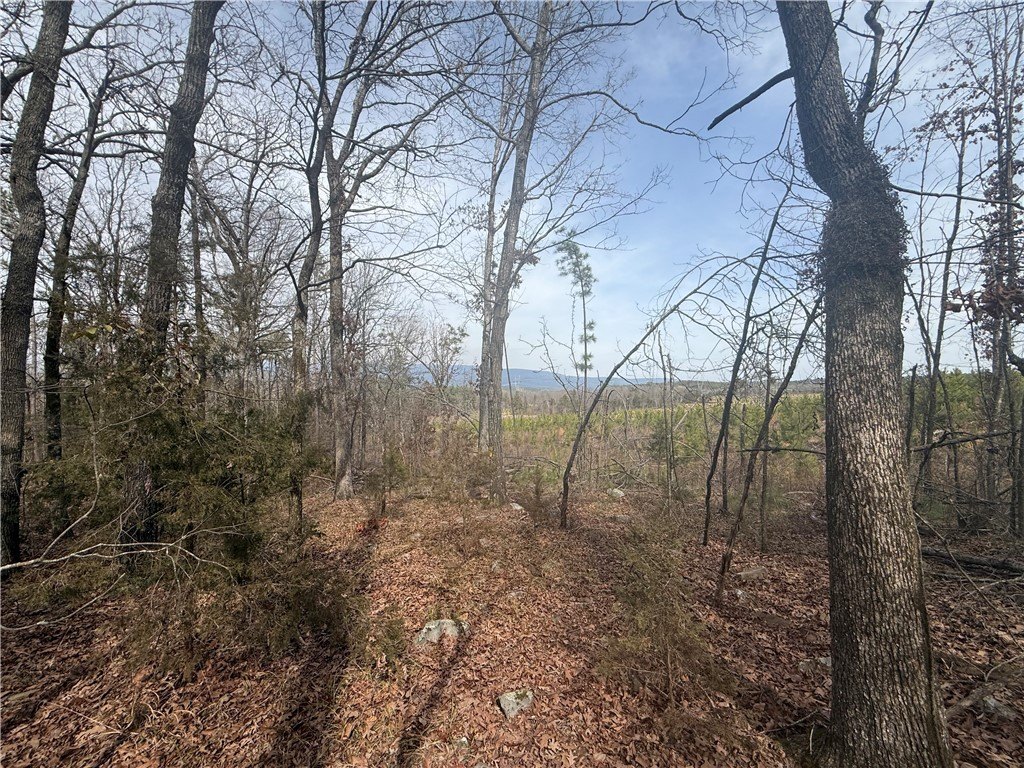 Picture 23