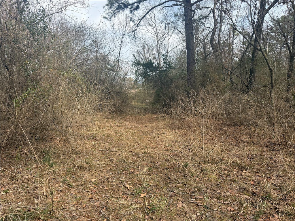 Picture 20