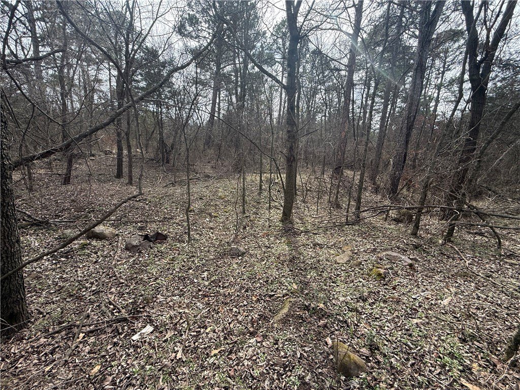 Picture 19