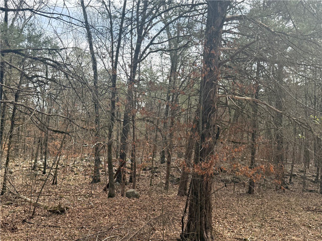 Picture 21