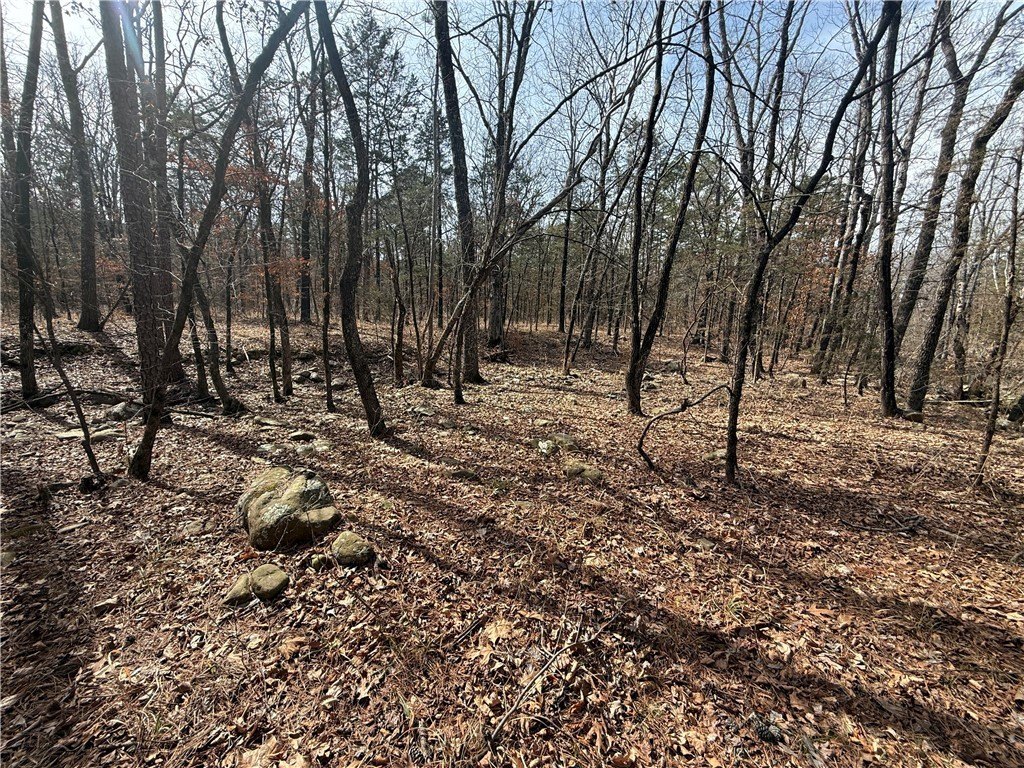Picture 14
