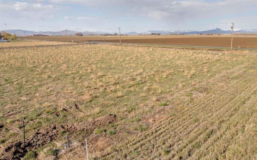 Picture 13