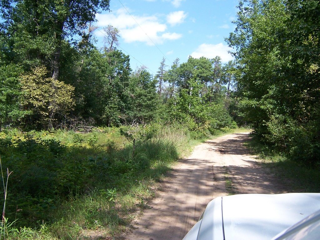 Picture 3