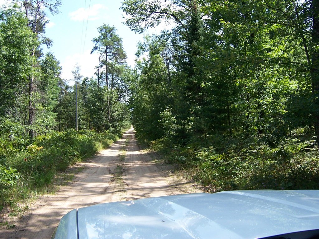 Picture 6