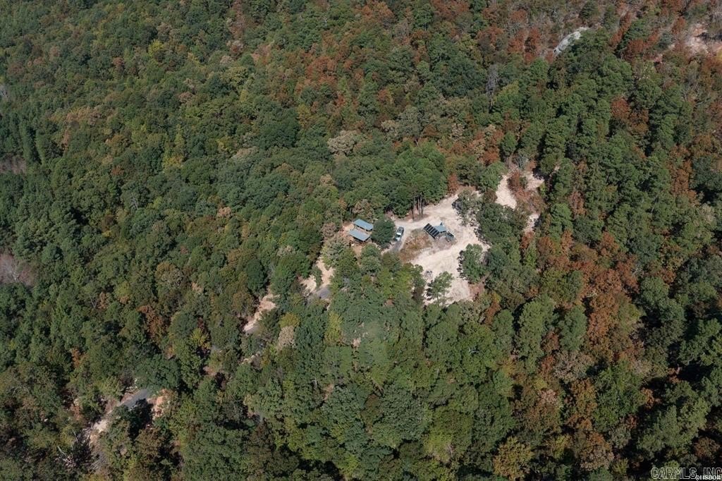 Picture 3