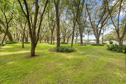 Land, WINTER GARDEN, FL