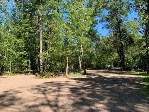Heavily Wooded Lot Near Amacoy Lake