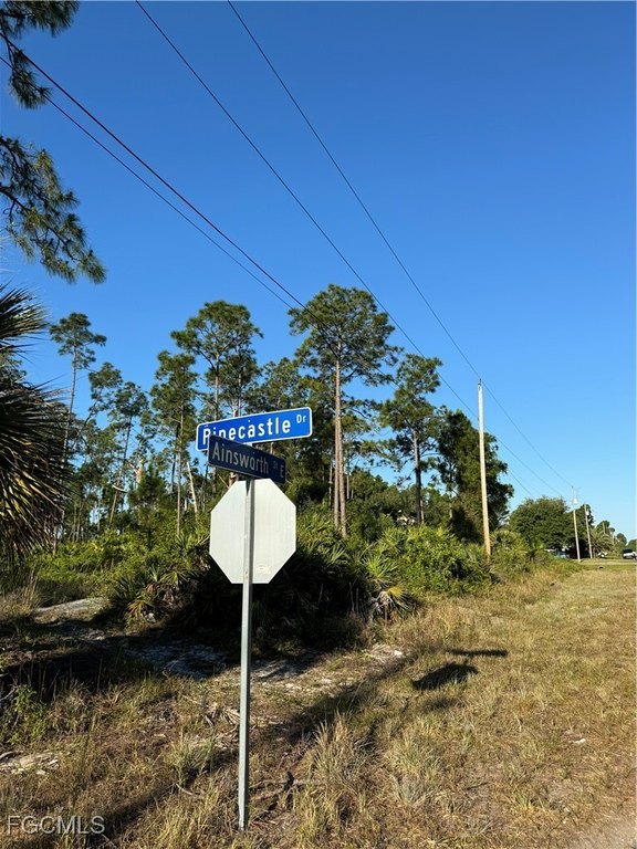 Picture 4
