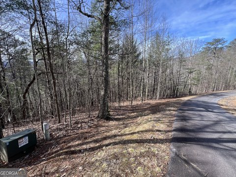 Blairsville Mountain Lot For Sale
