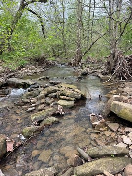 Huntsville Land with Creek Frontage