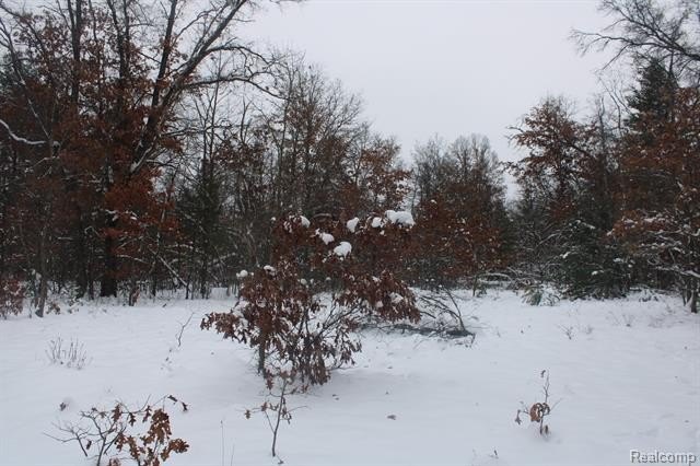 Picture 4