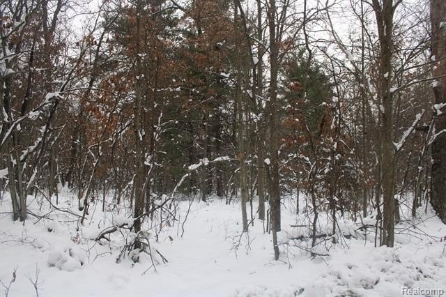 Picture 14