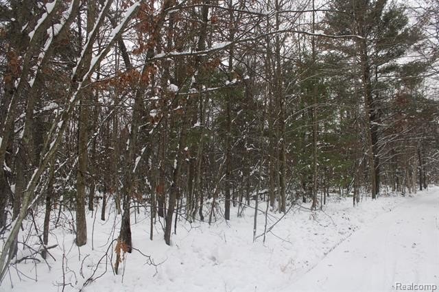 Picture 18