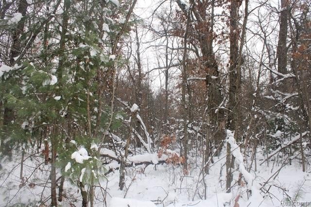 Picture 11