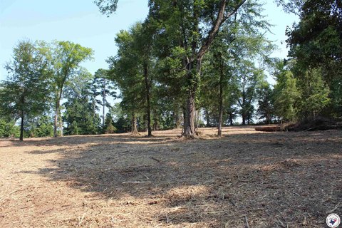 Prime Commercial Land on Hwy 67