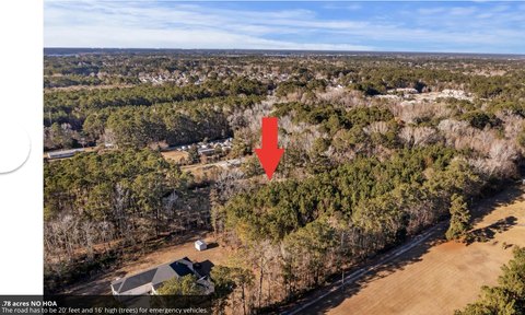 Vacant Land in Mount Pleasant