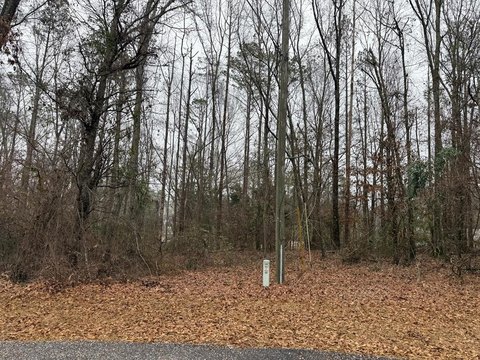 Residential Land in Troy, AL