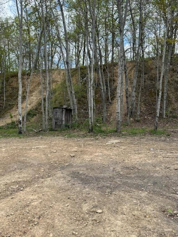 Picture 24