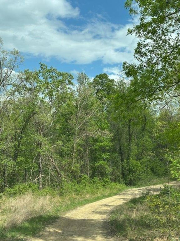 Picture 16