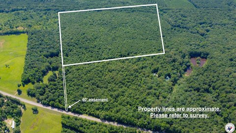 80 Acres of Texas Land