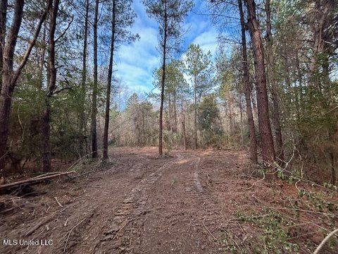 Wooded Land with Creek Frontage