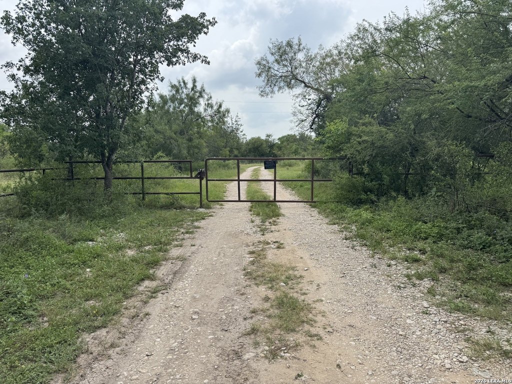 Picture 16