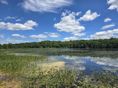 Land, Somerville, ME