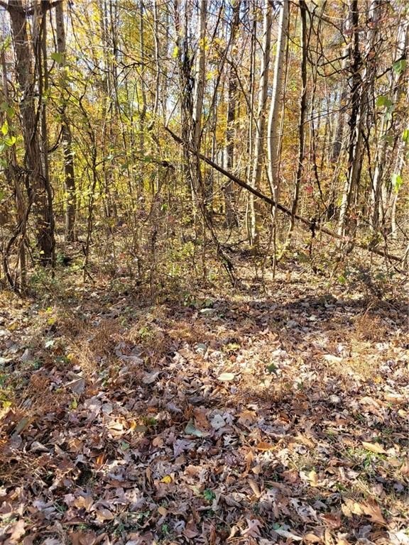 Residential Land in Cumming, GA
