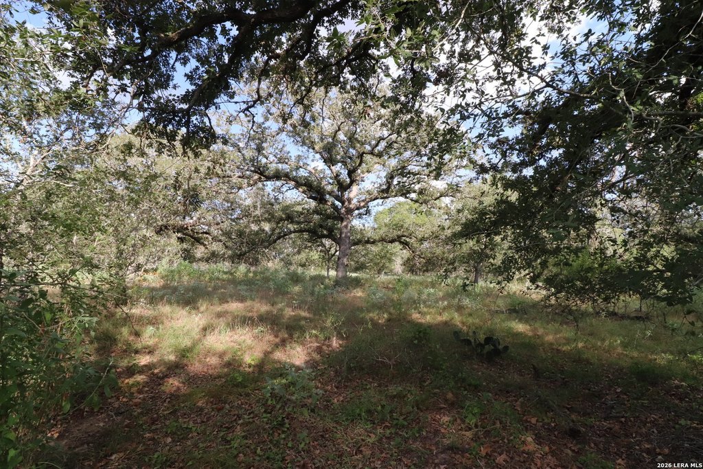 Picture 23