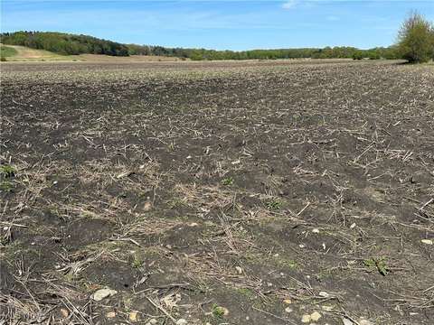 Productive Farmland in Orrville, Ohio