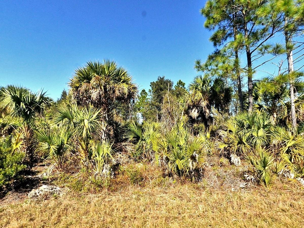 Oversized Lot with Greenbelt View