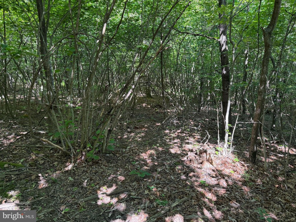 Picture 18