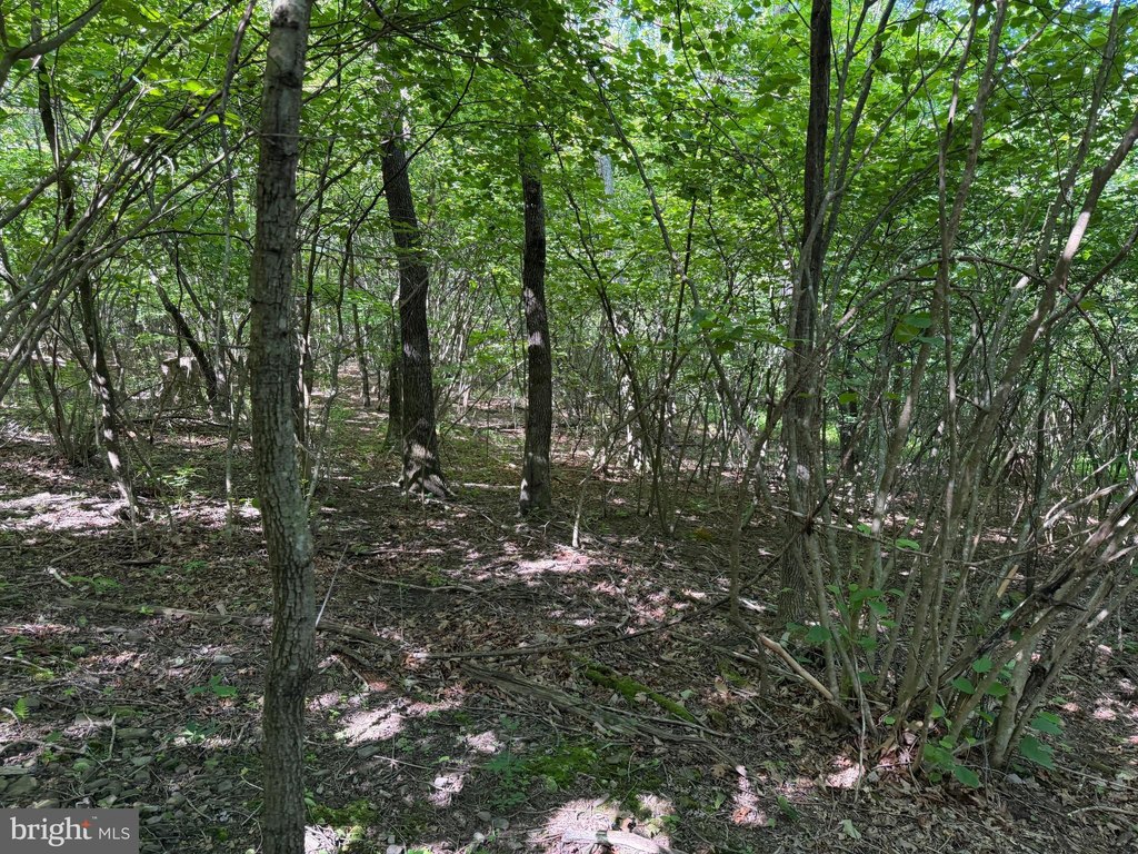Picture 19