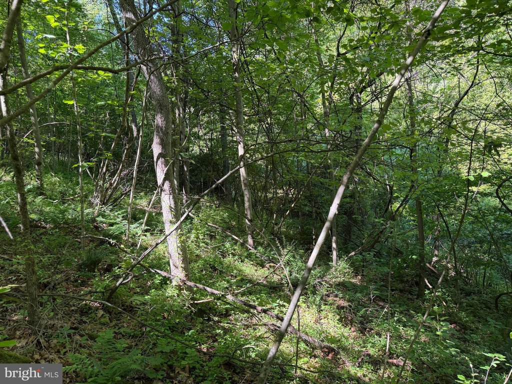 Picture 28