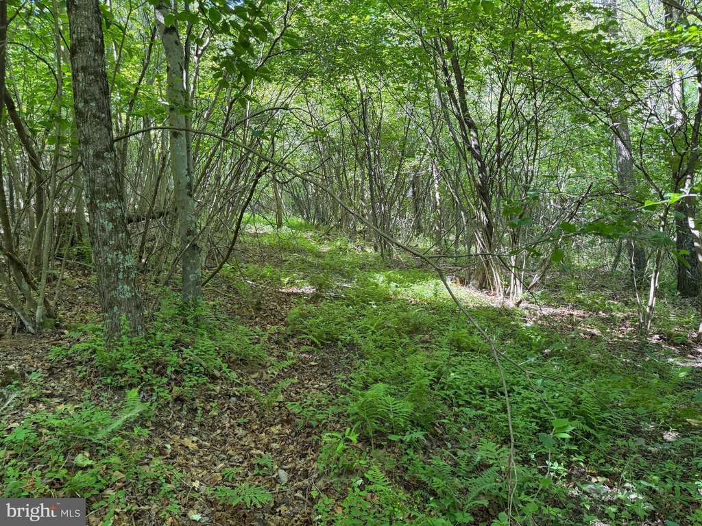 Picture 23
