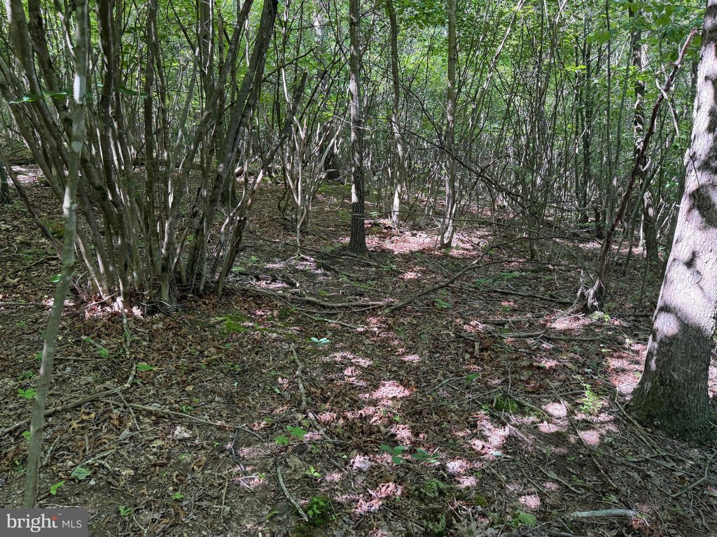 Picture 39