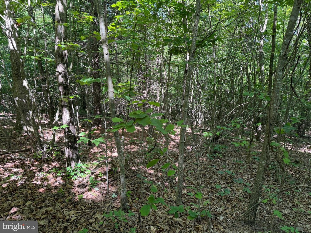Picture 16