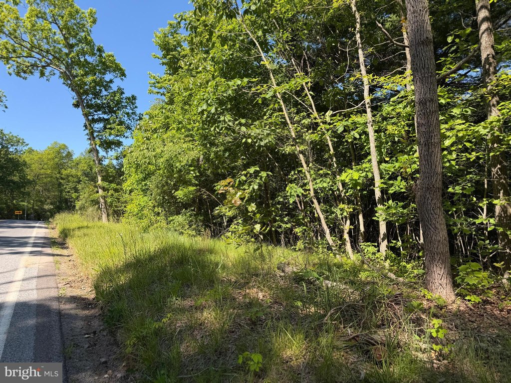 Picture 41