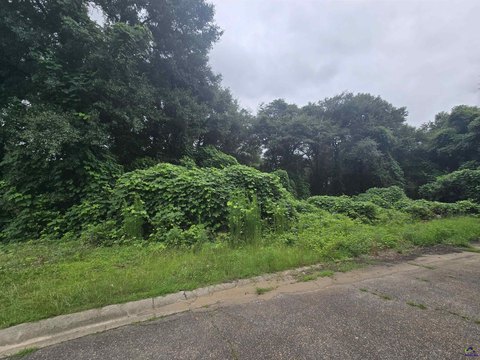 Residential Lot - Perry, GA