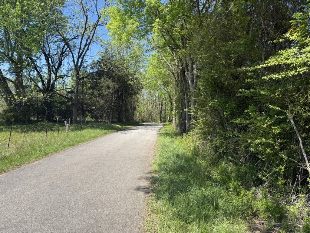 Picture 21