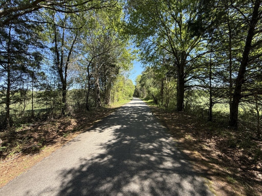 Picture 29
