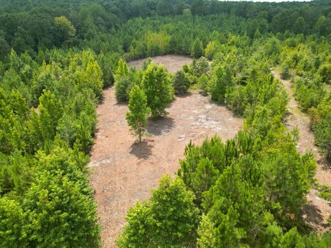 Land, Goshen, AL