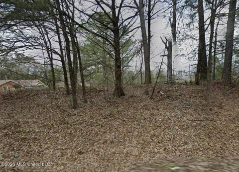 Land, Canton, MS